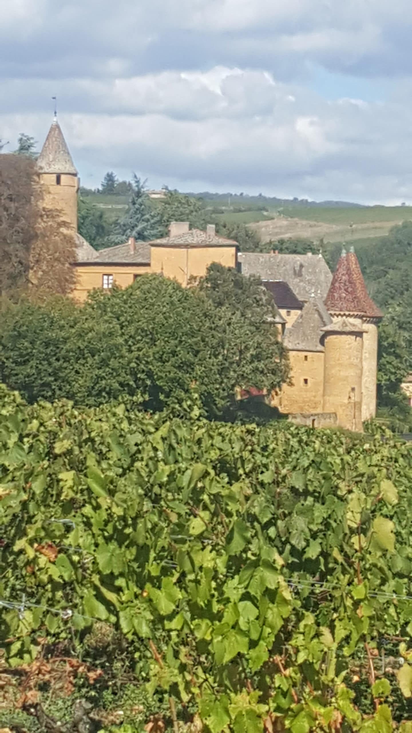 Domaine du Château de Jarnioux 