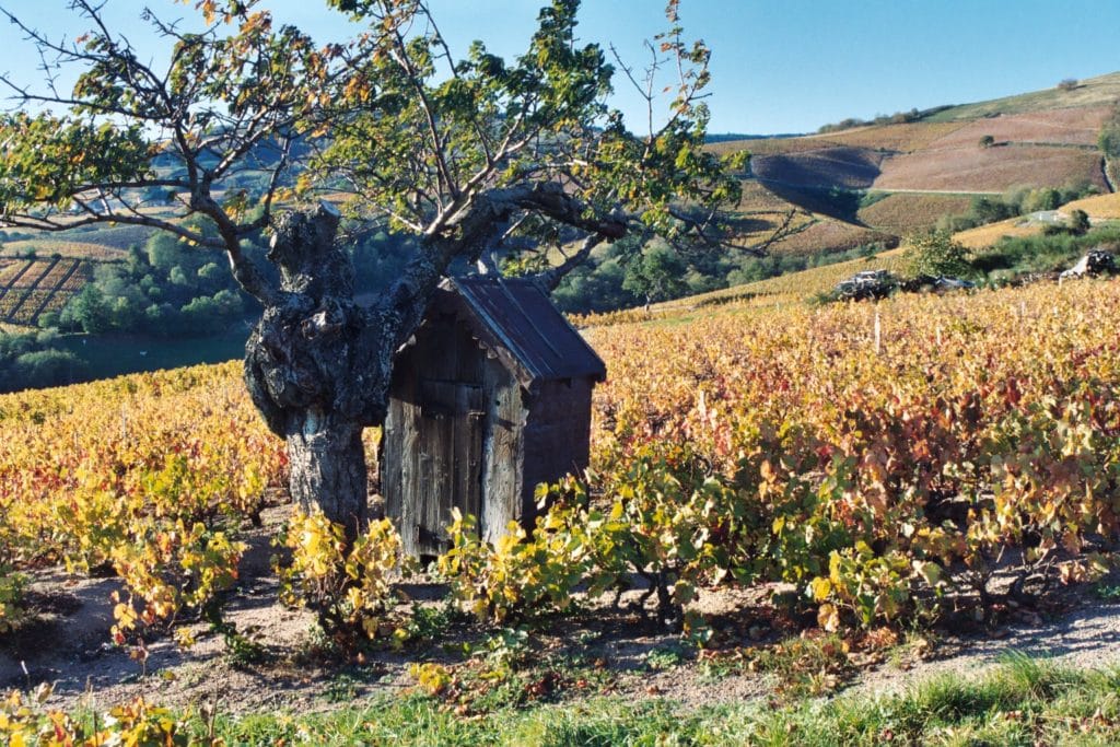 Domaine de la Bouronière