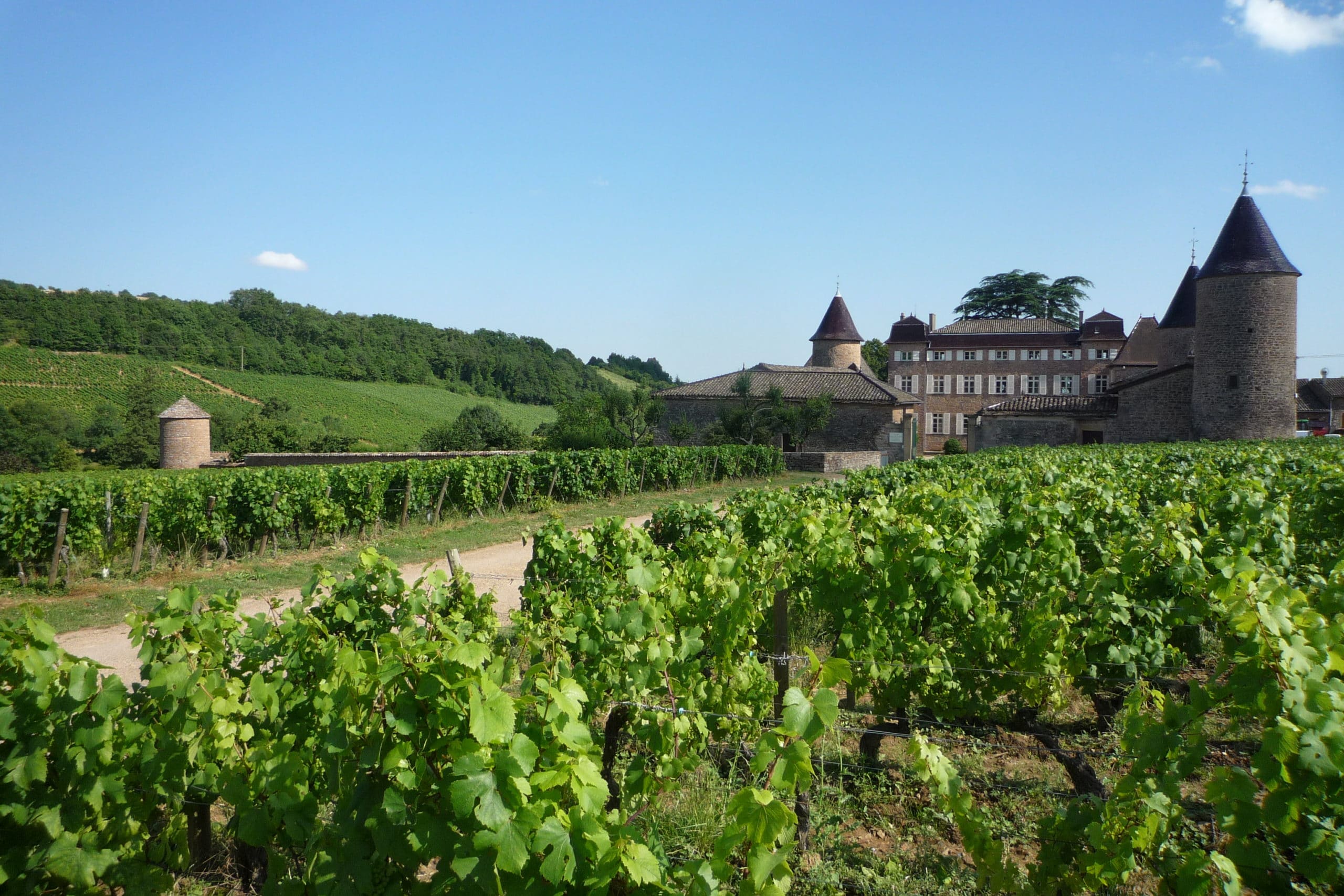 Château de Chasselas - Les rendez-vous Beaujolais