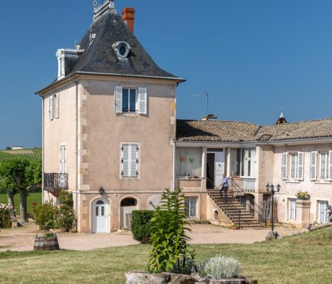 Image-Déjeuner vigneron au château et Visite du Moulin à vent
