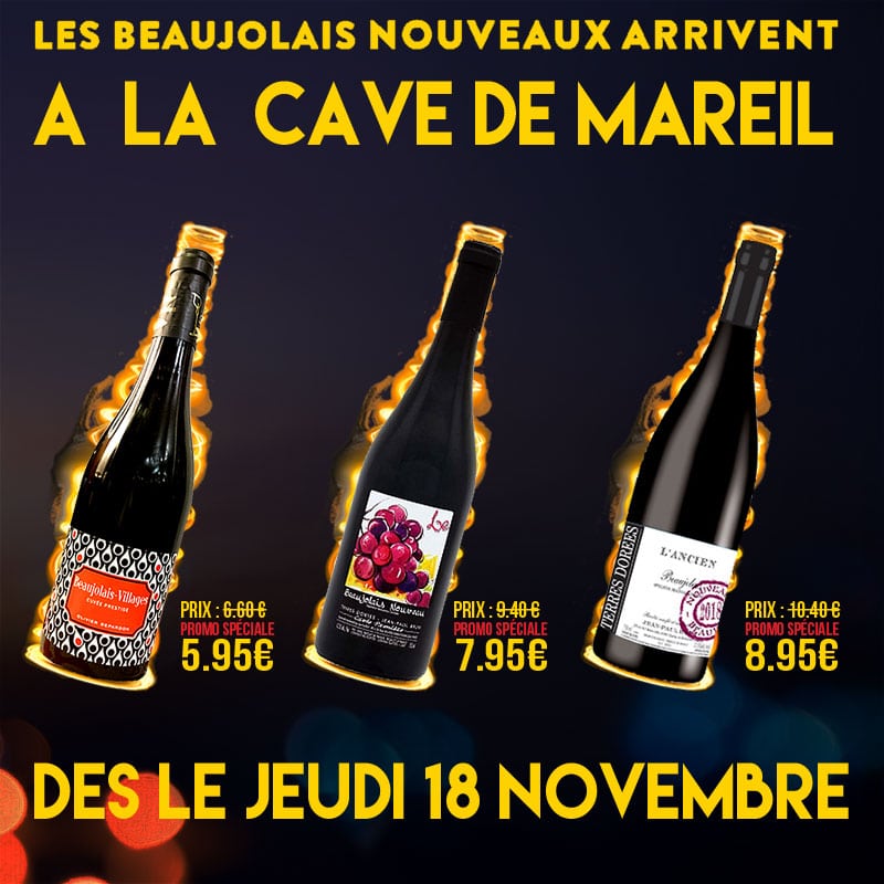 Découverte des beaujolais nouveaux ! – La Cave de Mareil