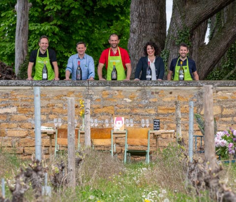 Image-A la découverte des Beaujolais Pierres Dorées