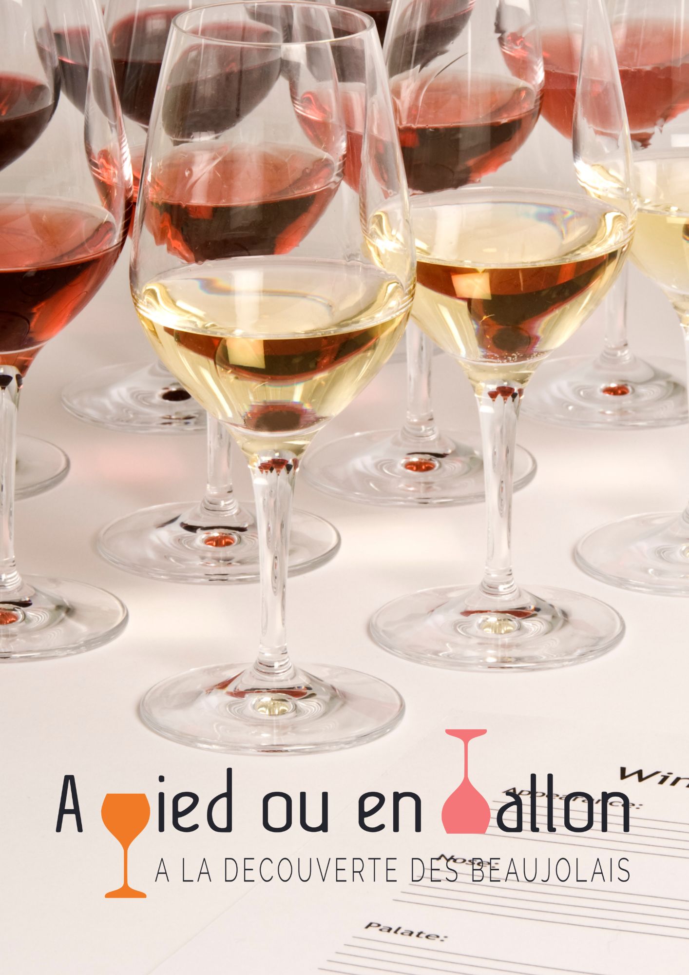 Soirée Vin & Gastronomie : A la découverte du Beaujolais