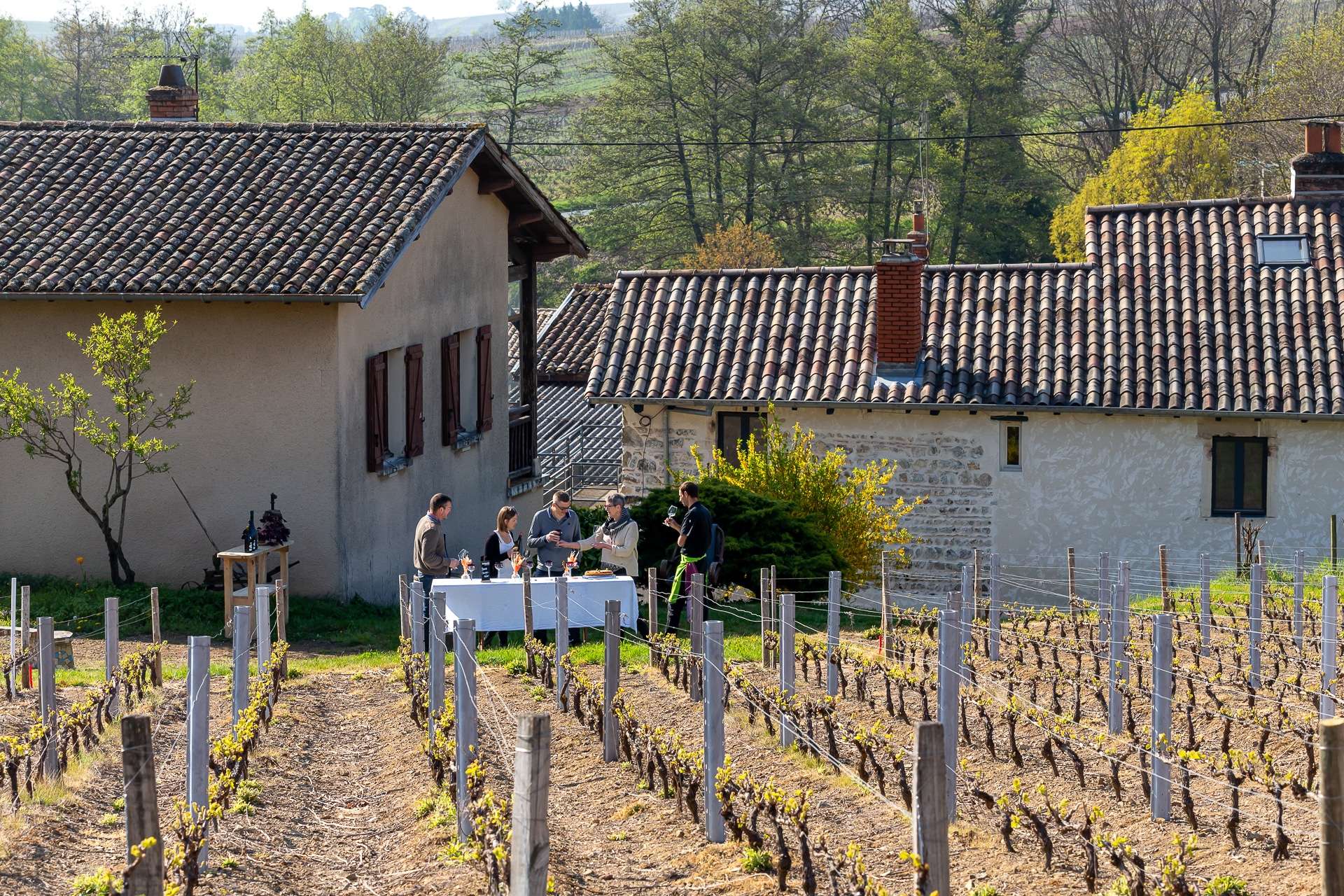 De la vigne à la table – Dîner