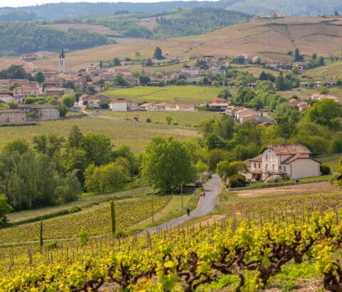 Image-La cuisine au Fleurie, ça vous dit ?