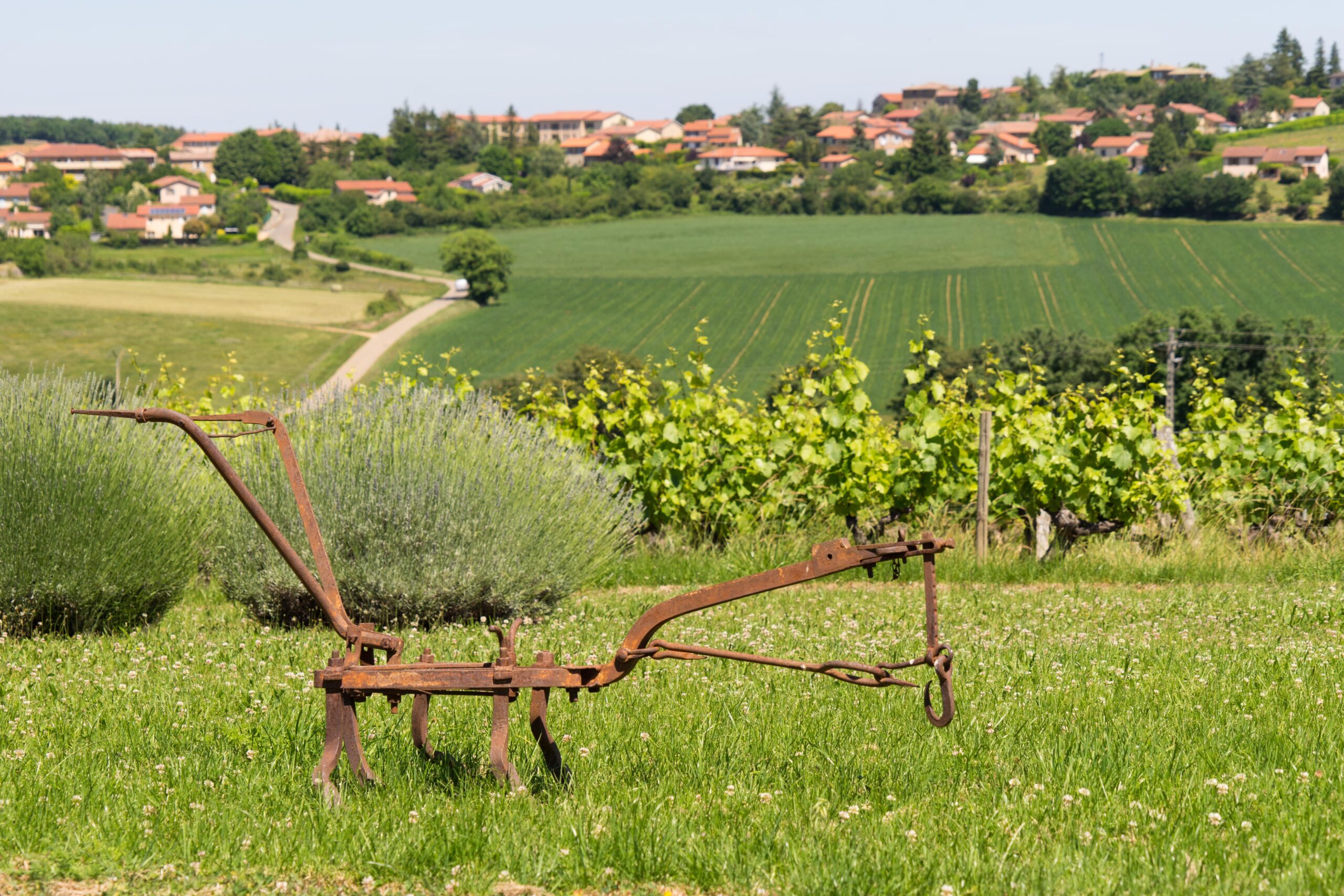 Portes Ouvertes Beaujolais Nouveau 2023