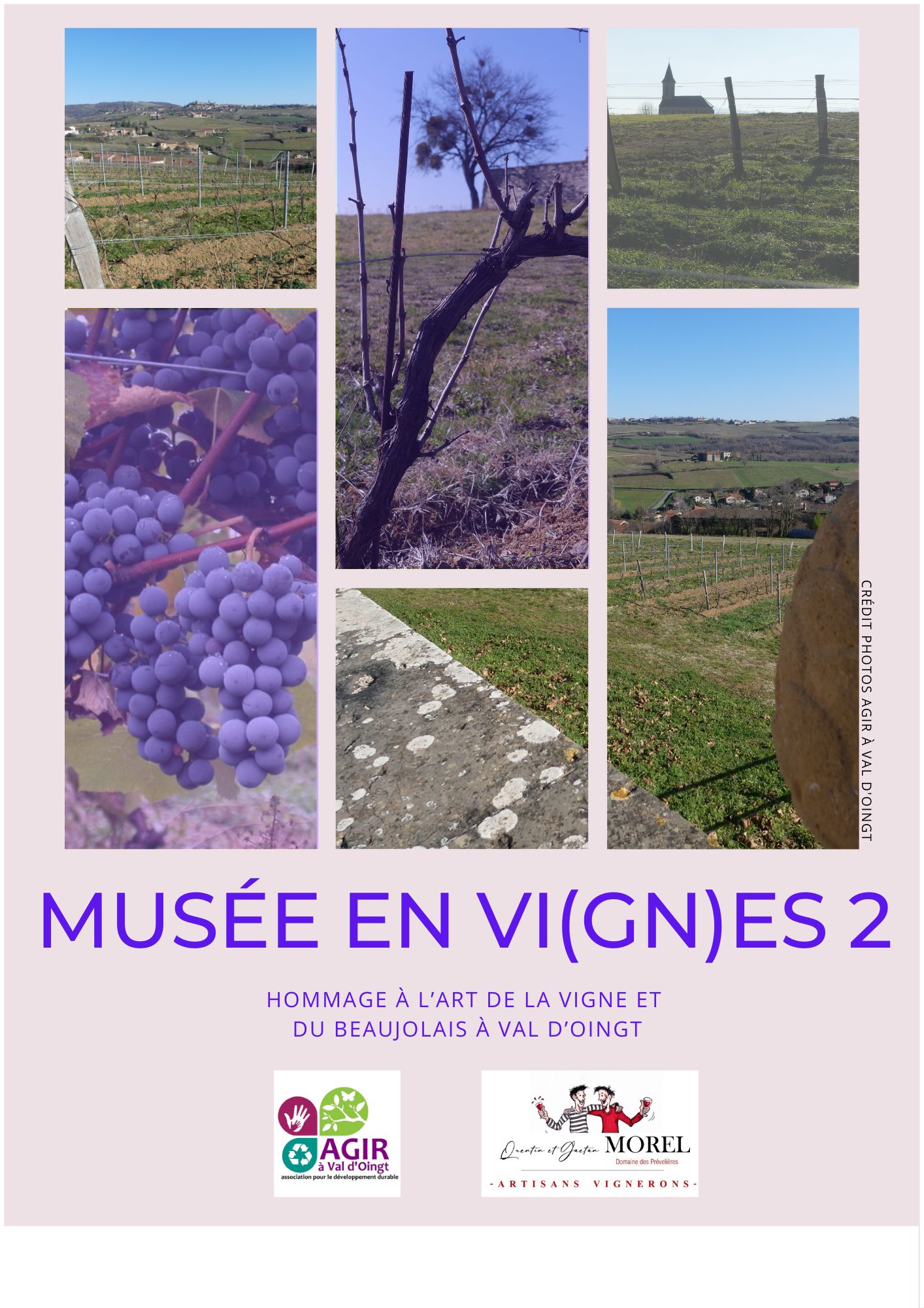 Musée en vignes
