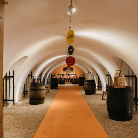 Image-Repas & (re)-Découverte du Vignoble avec la plus grande cave de Beaujolais de l’Univers