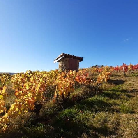 DOMAINE D’AUMÉNIE