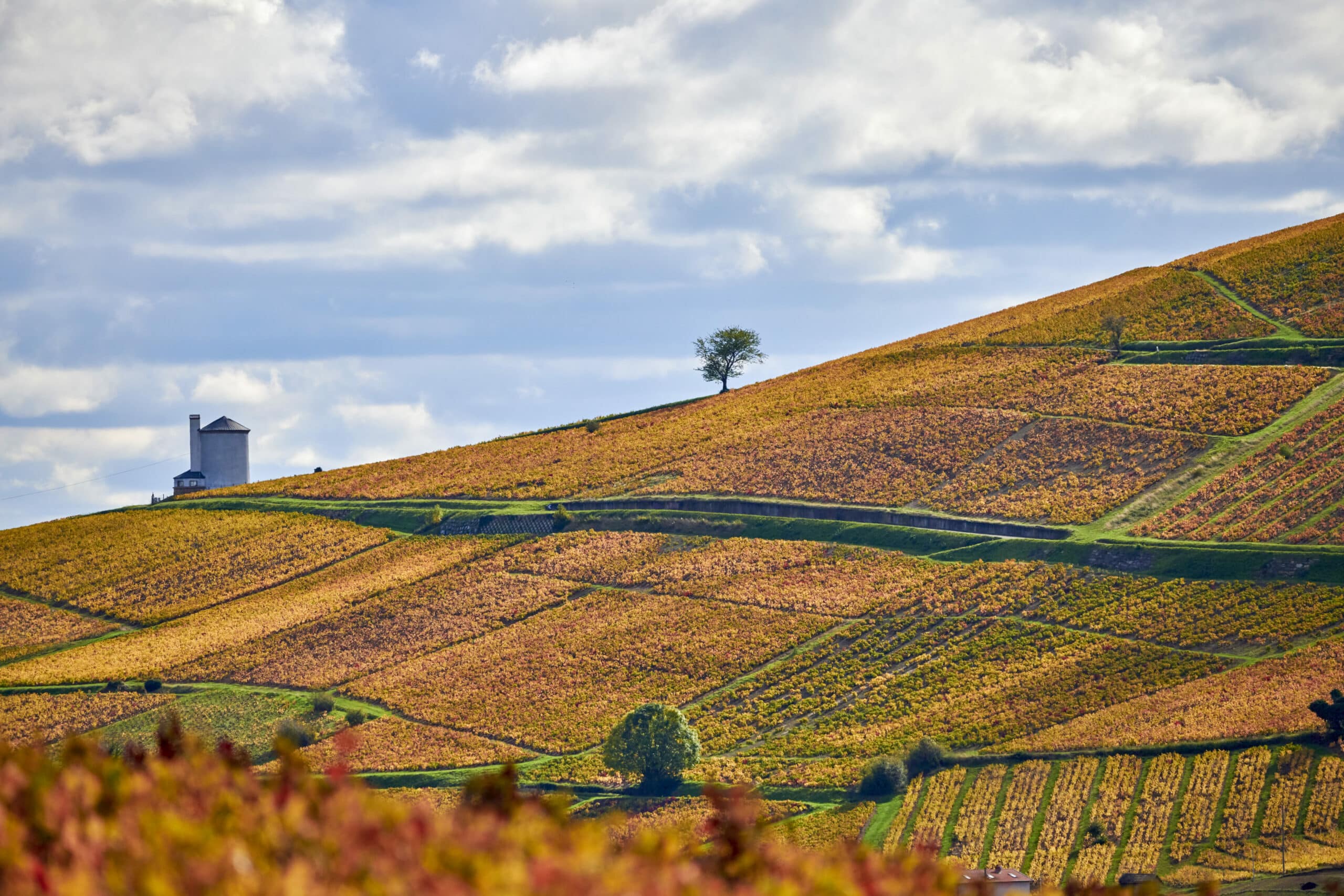 Le Mont Brouilly sous toutes ses formes