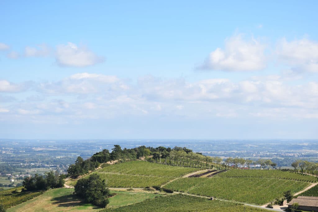 Château de Poncié