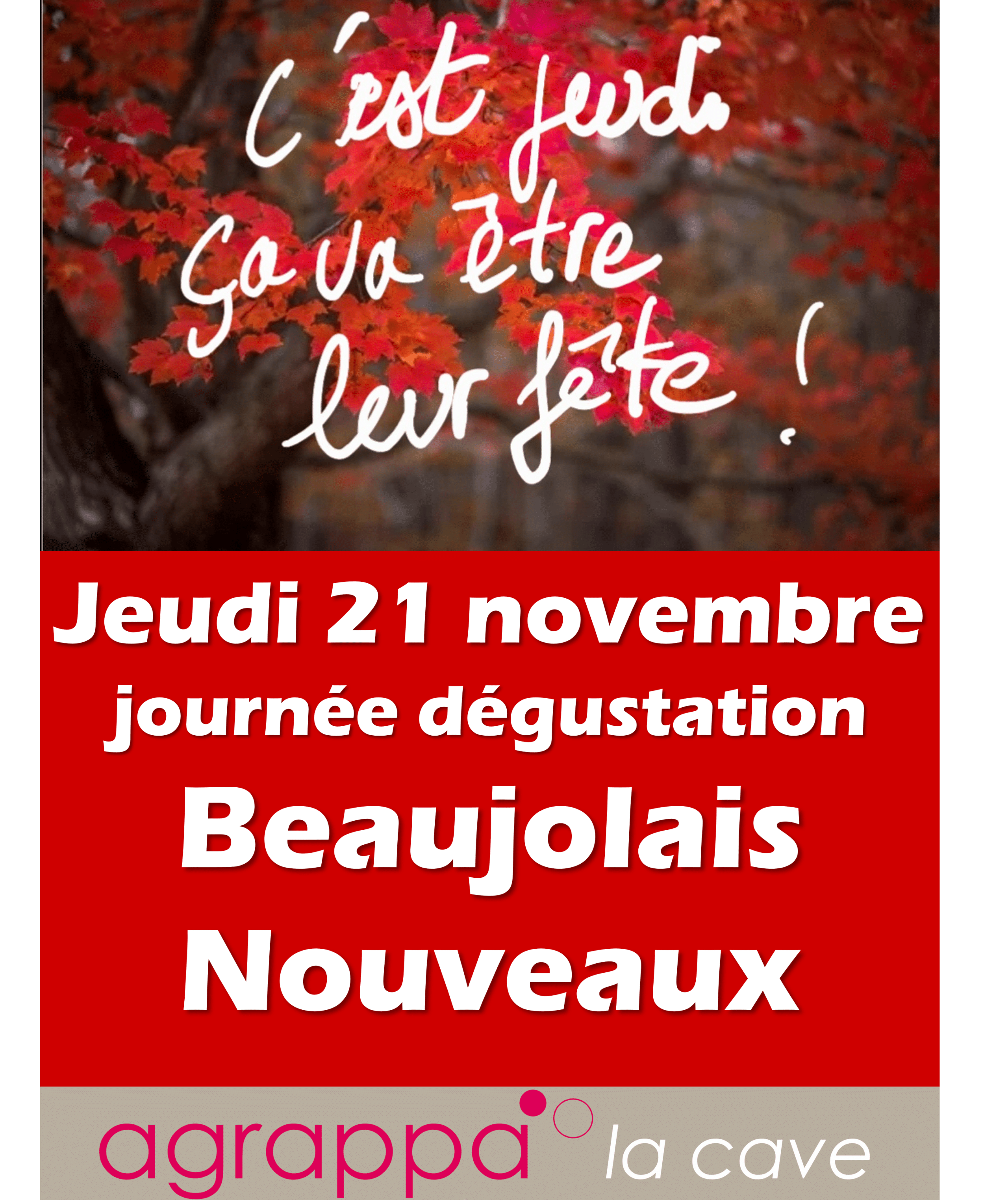 Dégustation Beaujolais Nouveaux à Agrappa