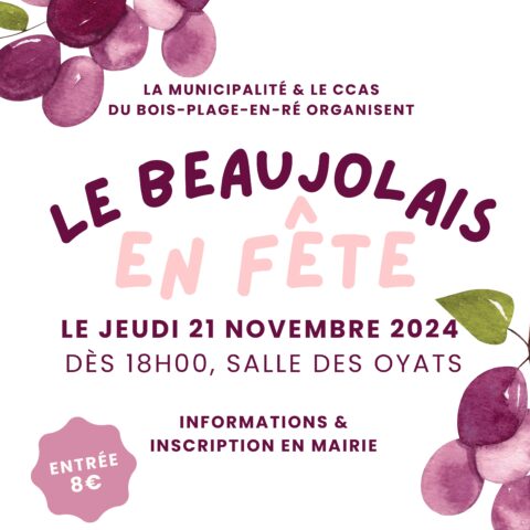 Le Beaujolais en fête