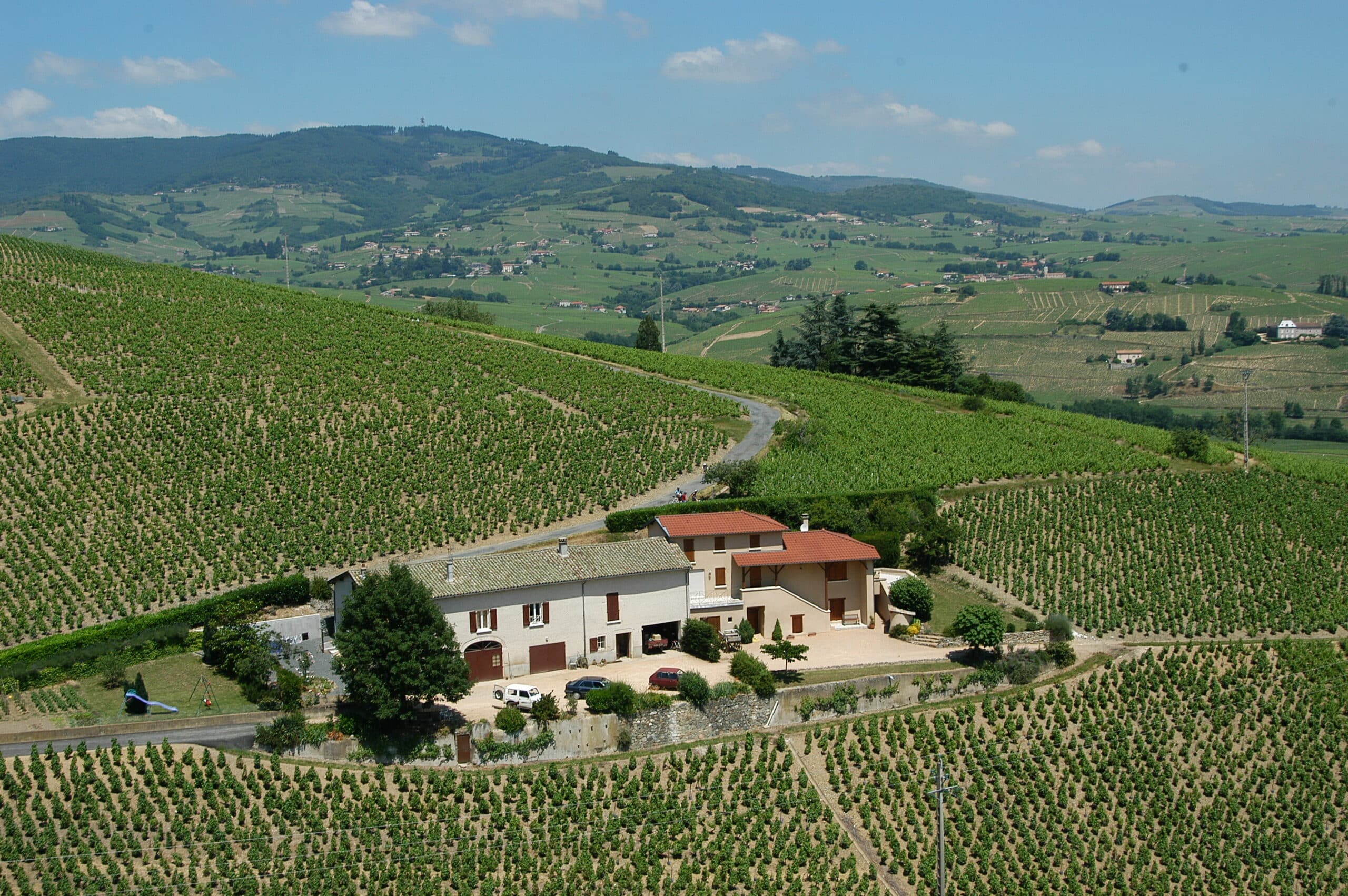 Portes-ouvertes au Domaine Coteaux des Oliviers_Quincié-en-Beaujolais