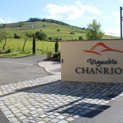 Vignoble CHANRION