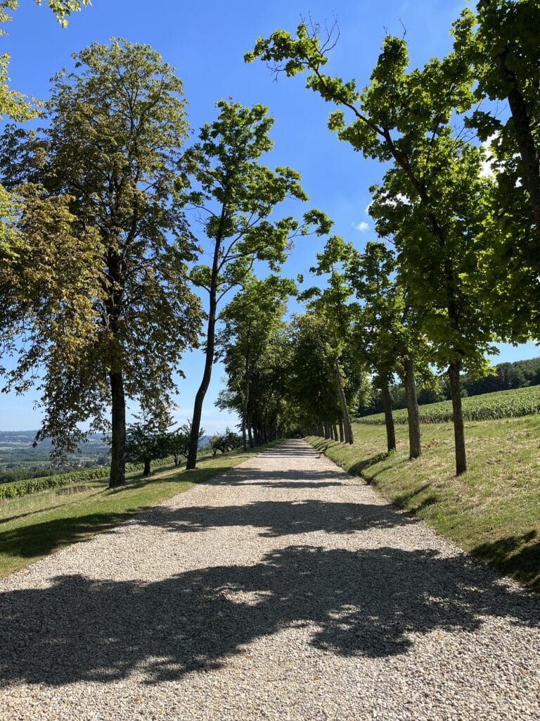 Château de Lachassagne