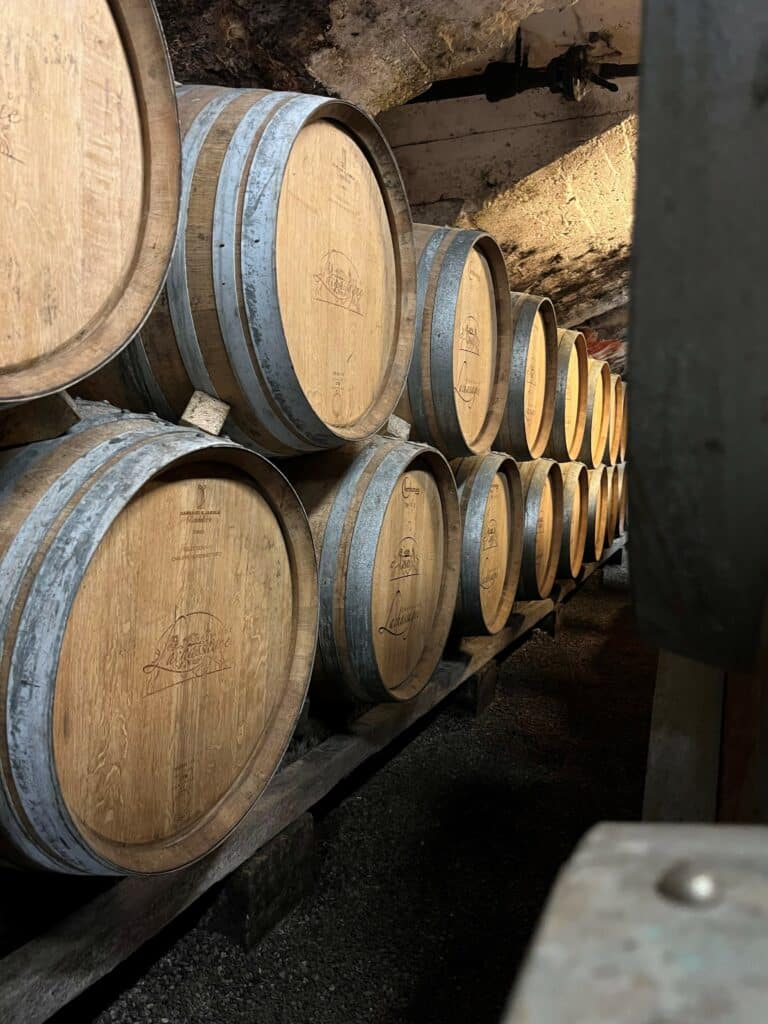 Château de Lachassagne