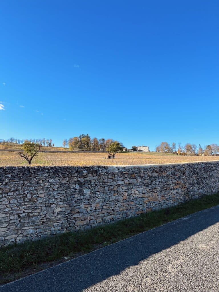 Château de Lachassagne