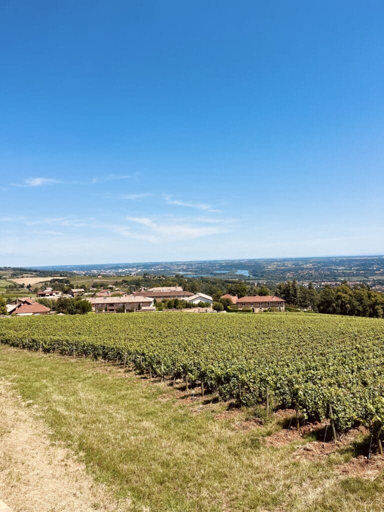 Château de Lachassagne