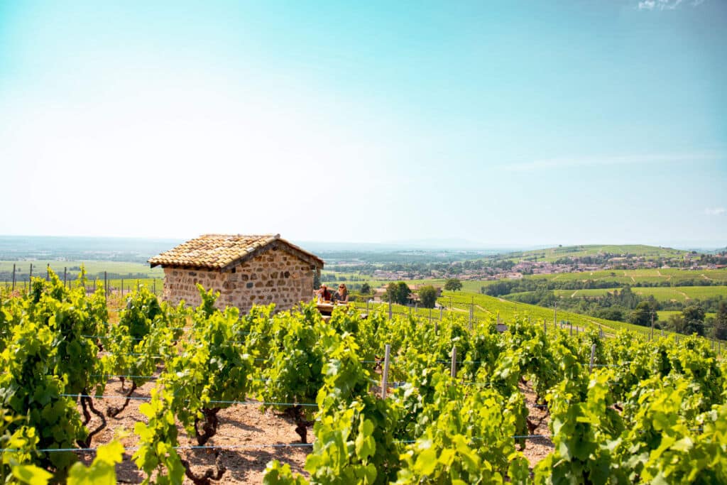 Apéritif vigneron à la cadole de Chiroubles
