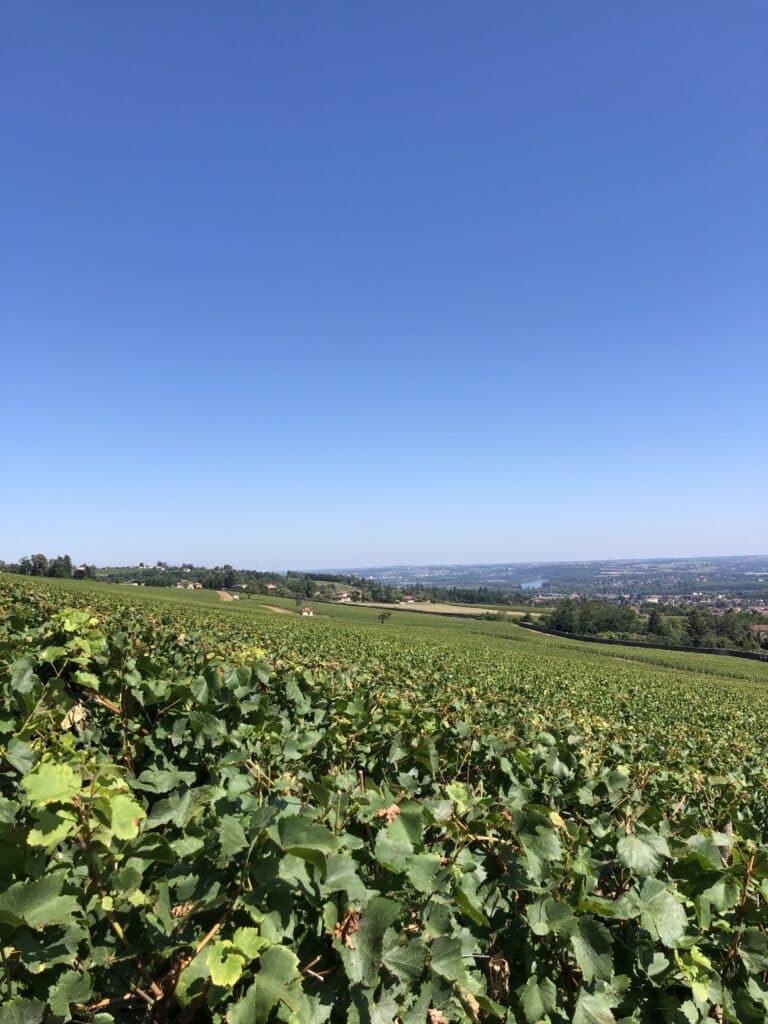 Château de Lachassagne