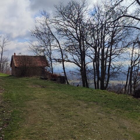 IMG_20250317_101942