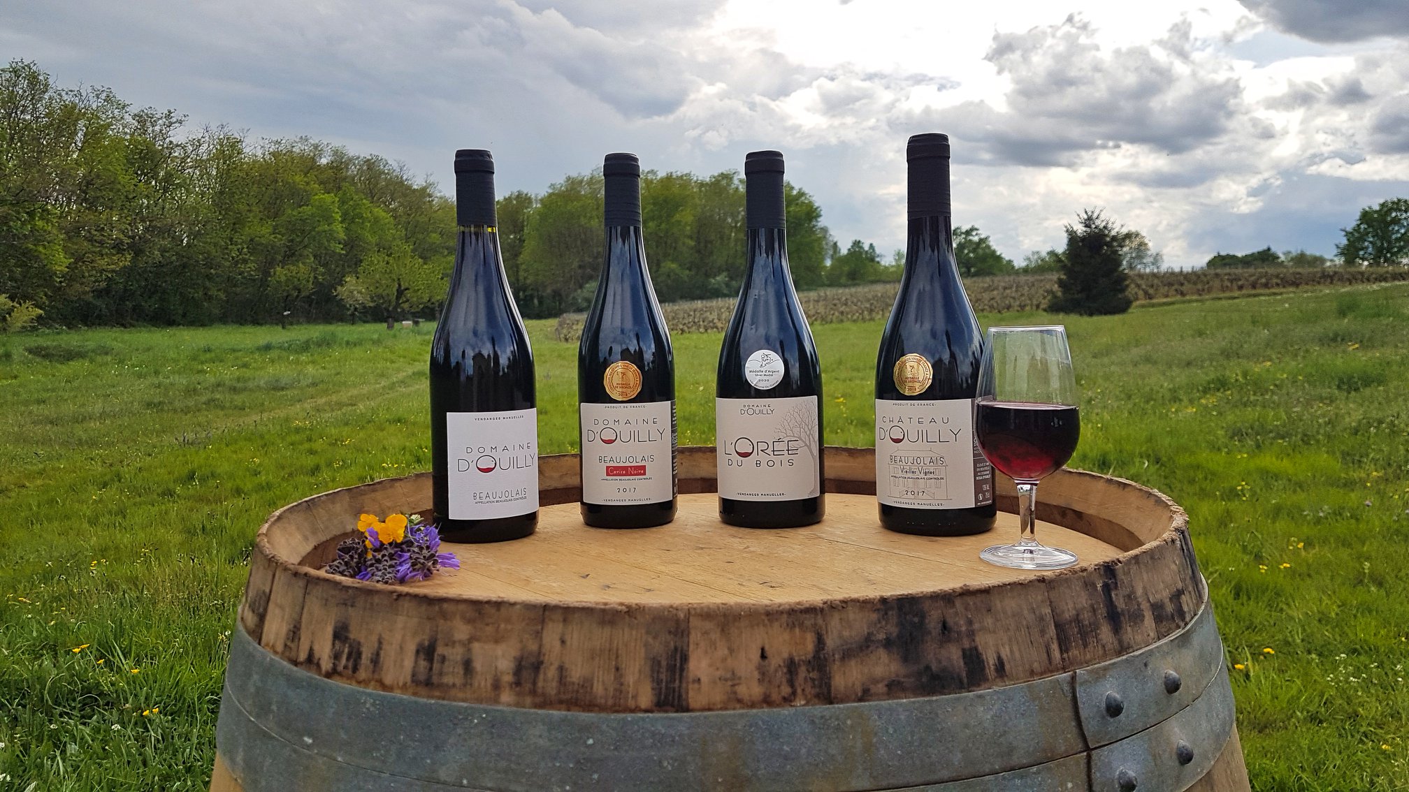 Beaujolais Nouveaux 2025 – Domaine d’Ouilly