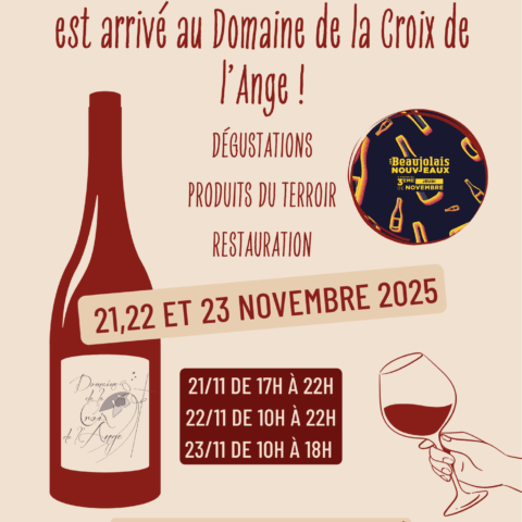 affiche beaujolais Nouveau 2025