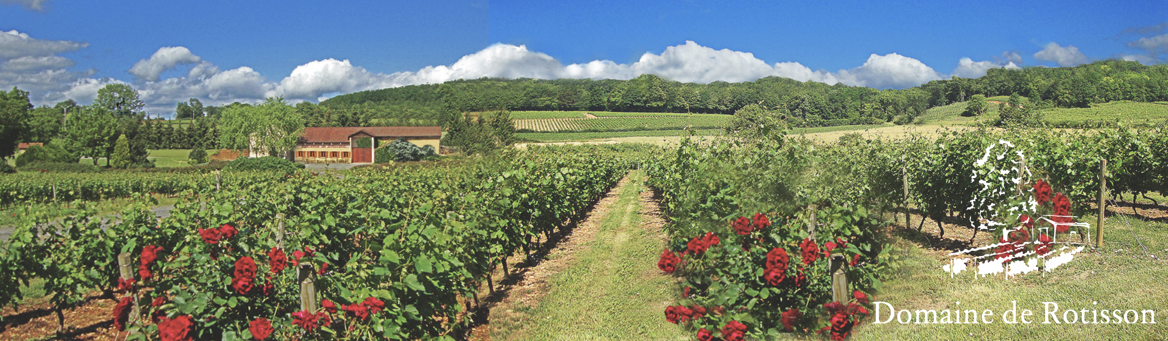 Beaujolais Nouveaux au Domaine de Rotisson