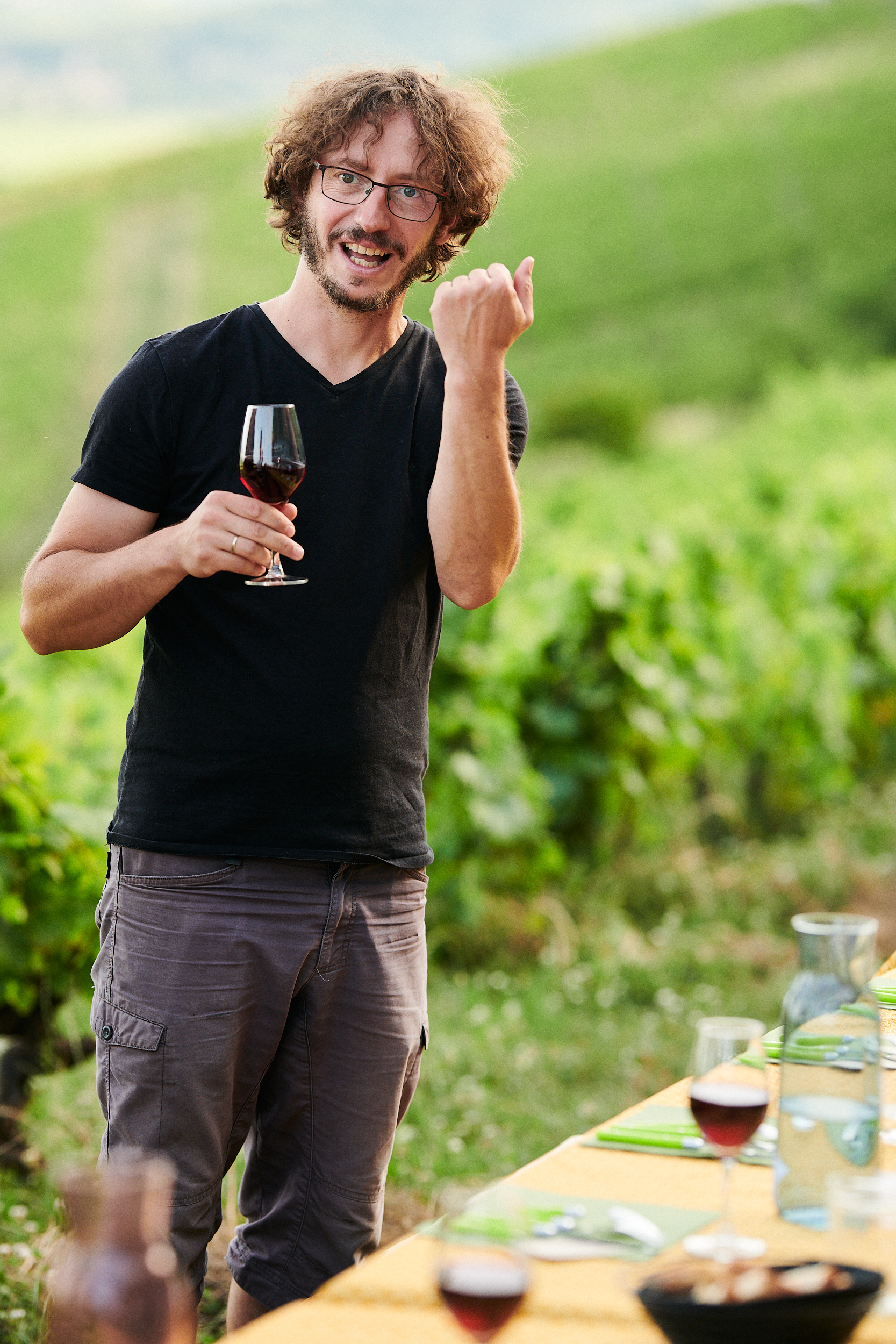 L’oiseau de passage