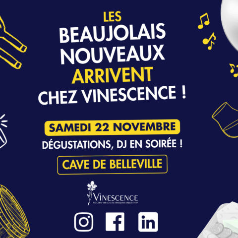 Beaujolais Nouveau Vinescence