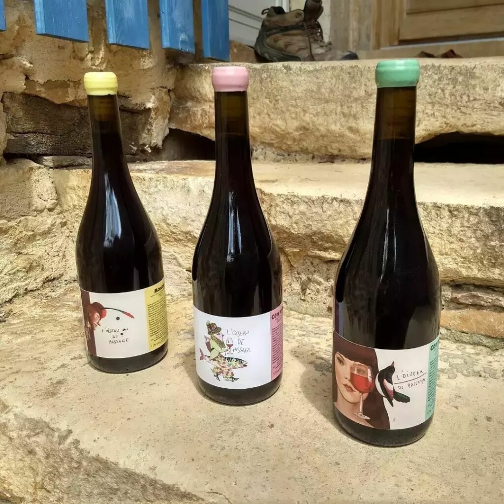 L’oiseau de passage