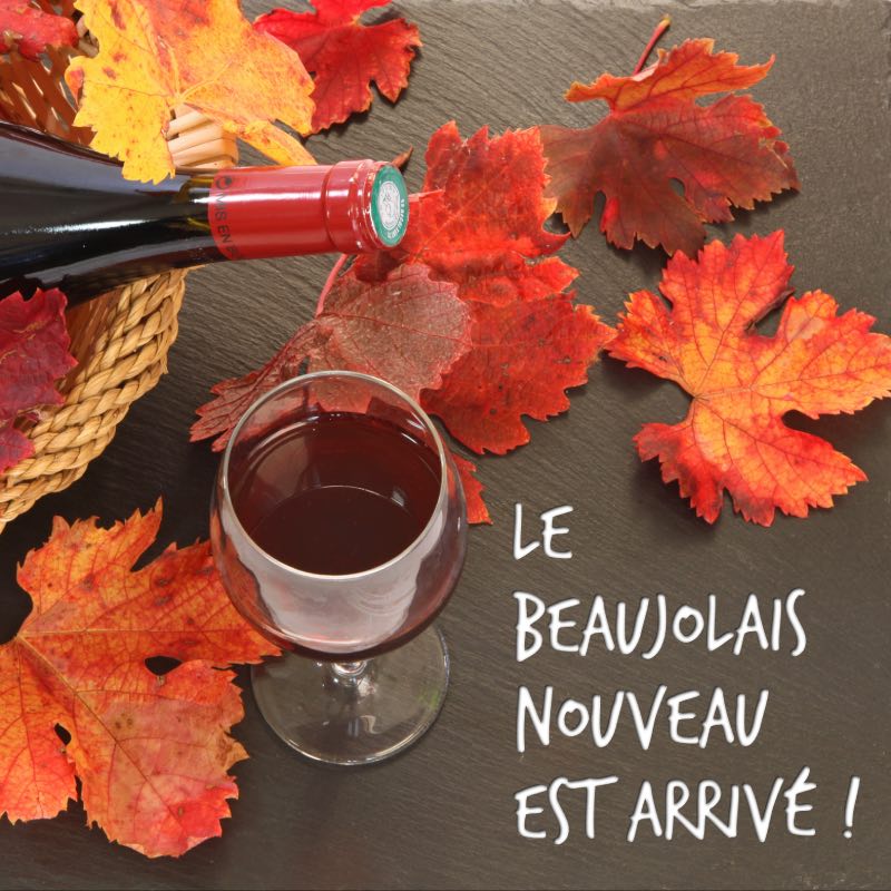 Beaujolais Nouveau