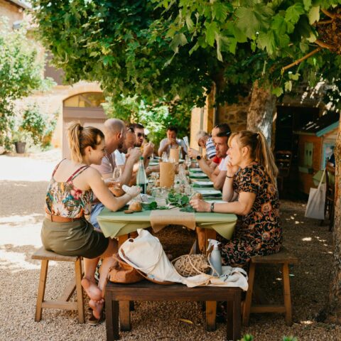 Bienvenue en Beaujonomie_Villefranche-sur-Saône