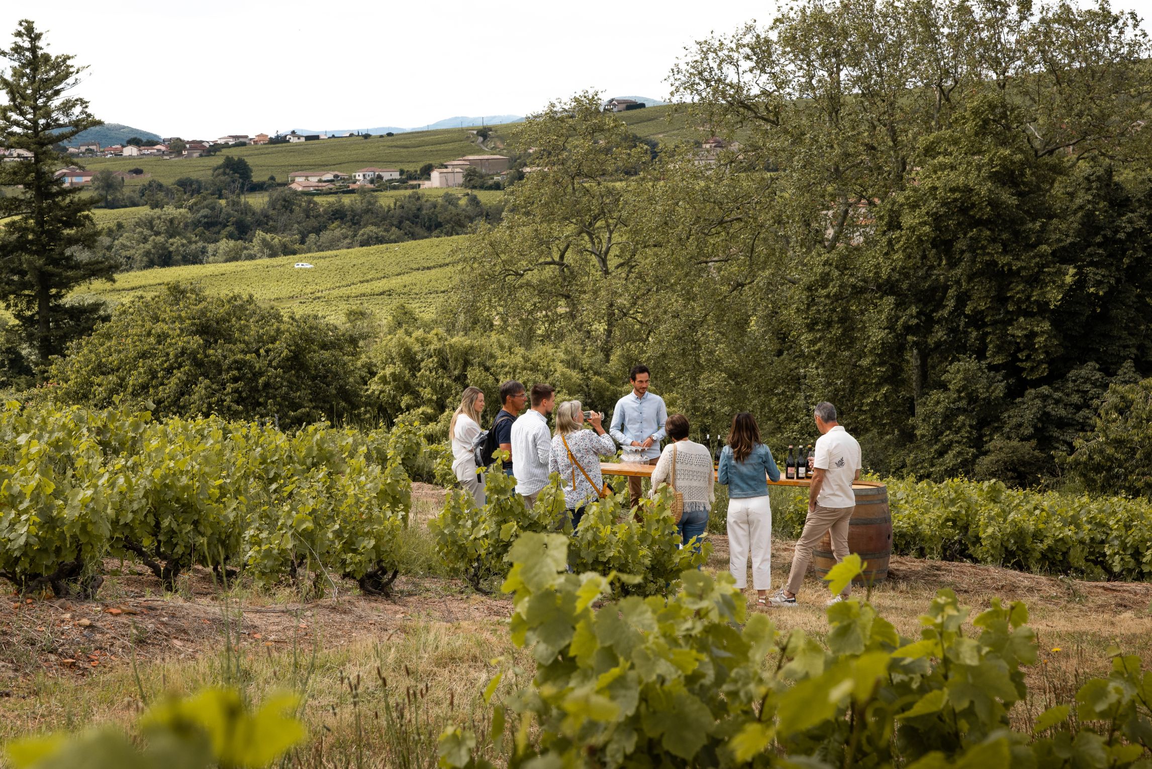 Brasero au cœur des vignes du domaine Passot – Dîner