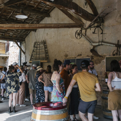 Image-Dégustation vivante ! 7 thématiques pour près de 60 vins