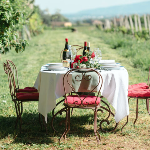 Image-Dîner dans les vignes au Château Thivin