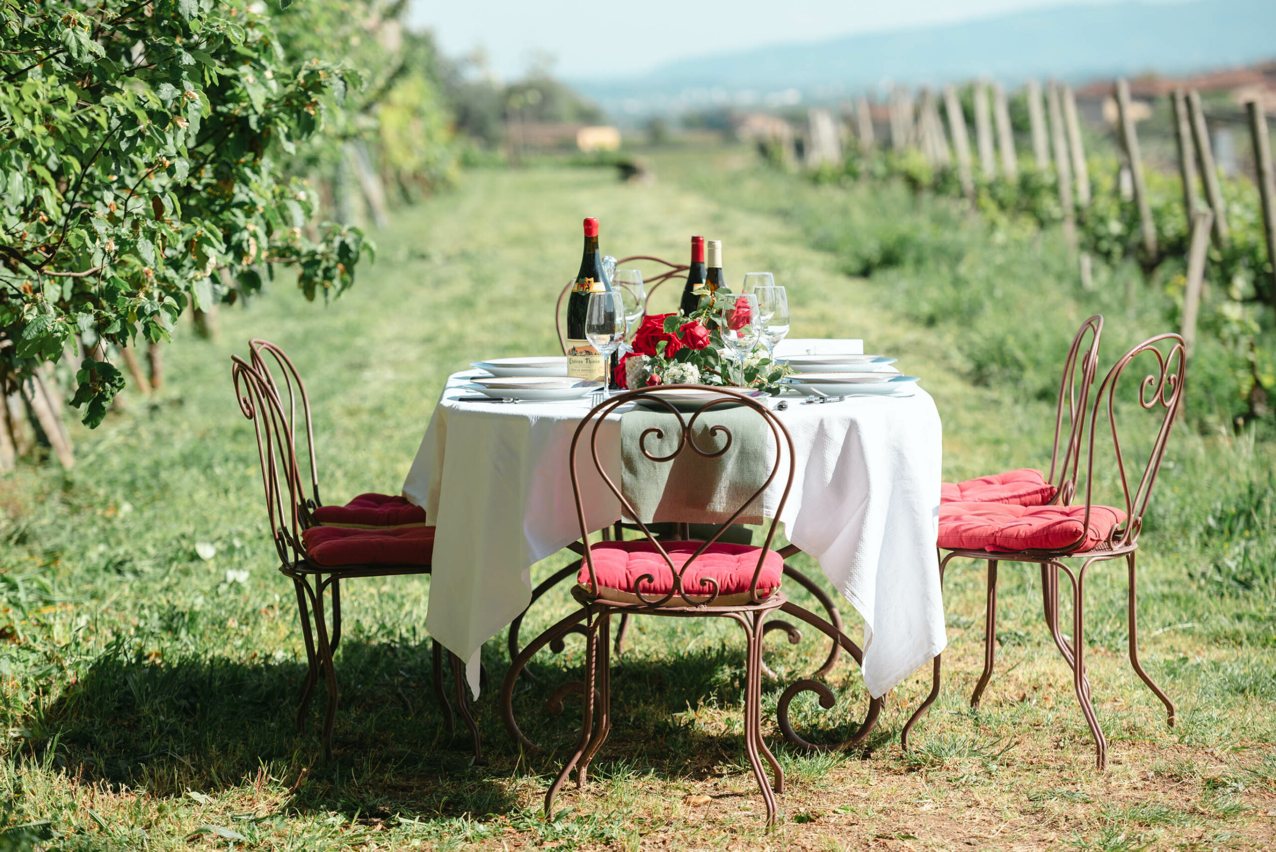 Dîner dans les vignes au Château Thivin  – Dîner
