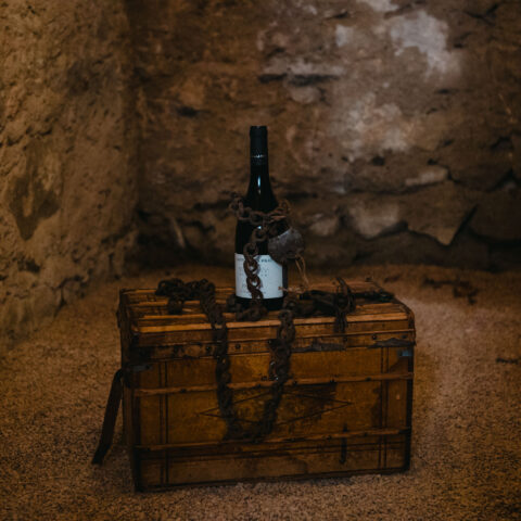 Image-Escape Game NON MEA SED TUA et les Secrets du Château