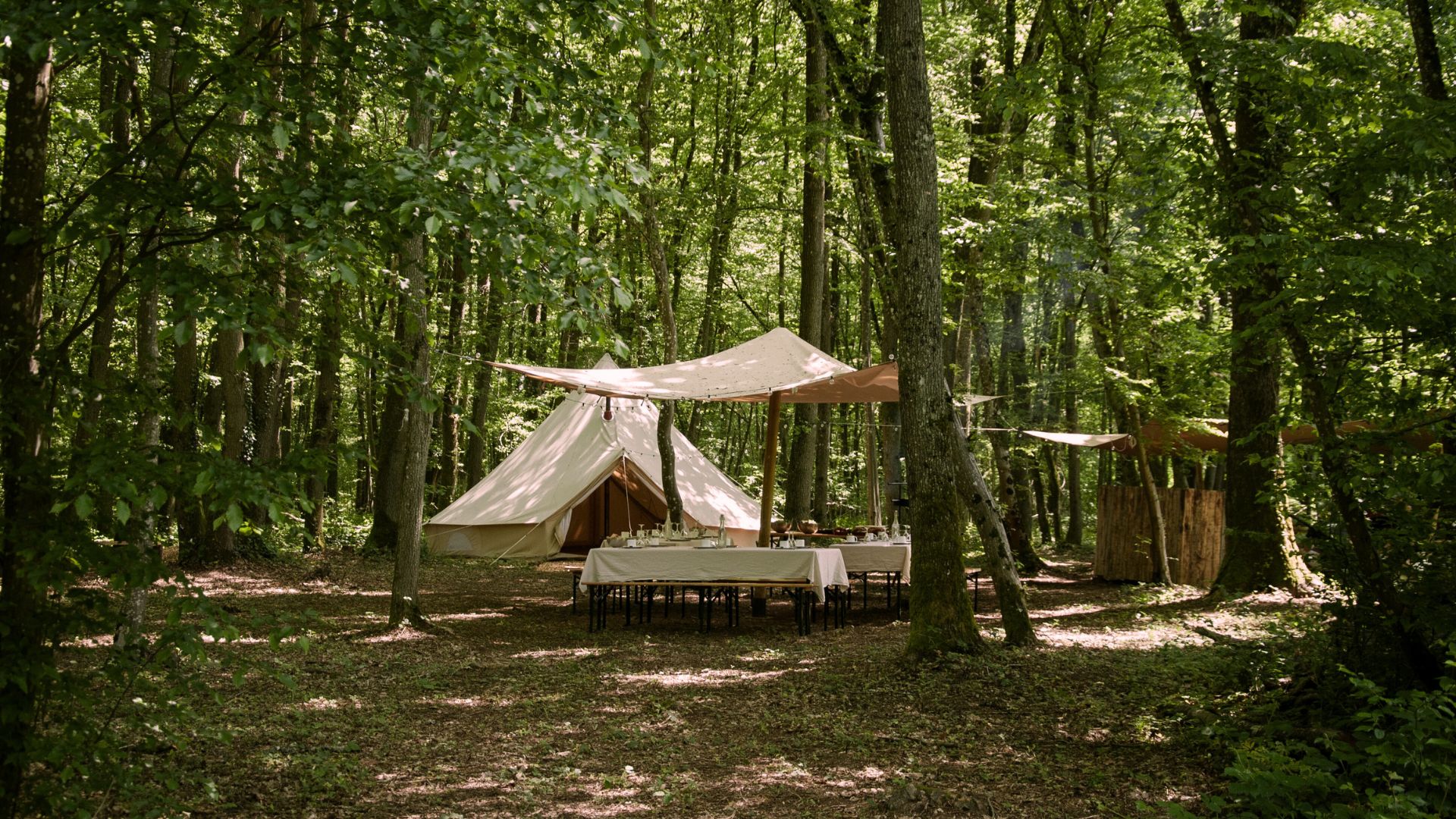 Image-L'aventure entre vigne & forêt