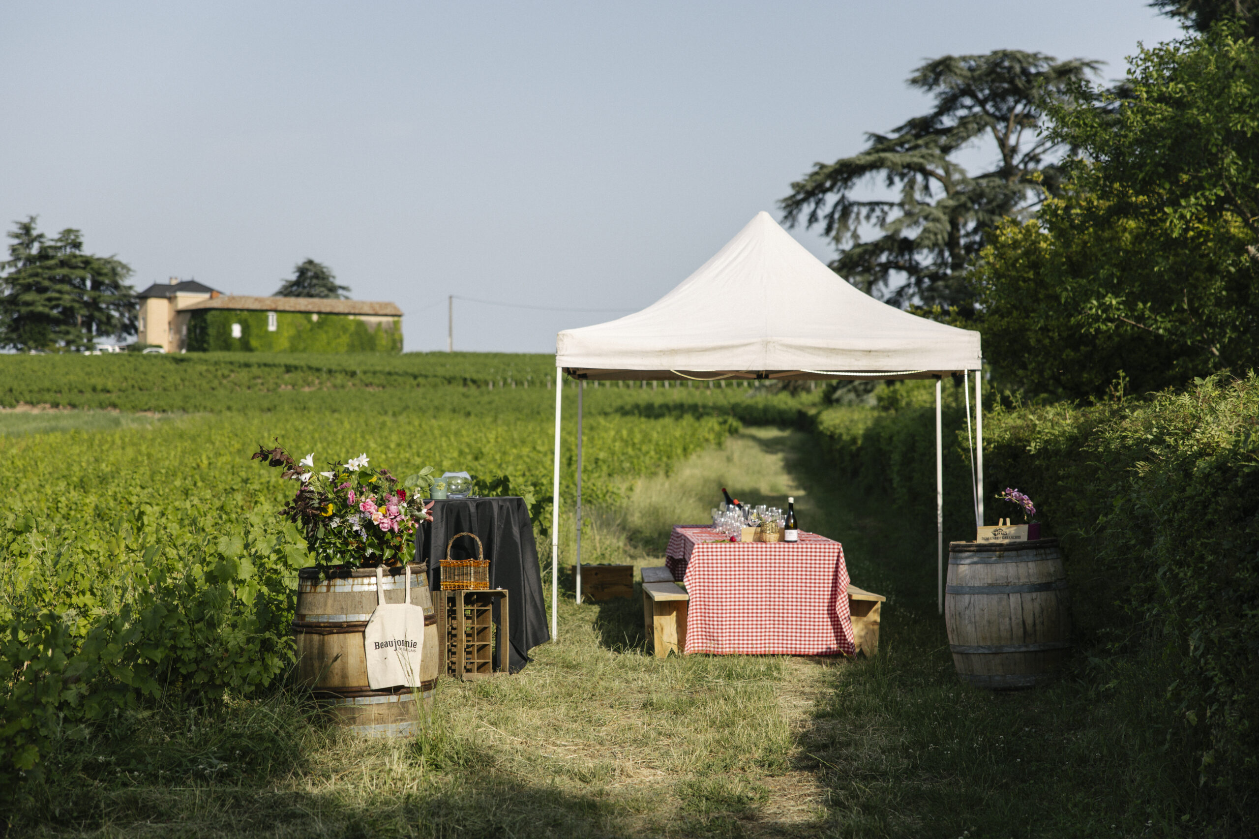 Un moment insolite au pied du Mont Brouilly – Dîner