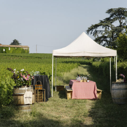 Image-Une découverte au pied du mont Brouilly