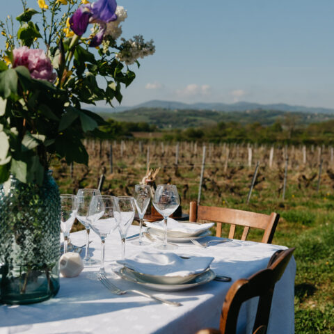 Image-Une parenthèse hors du temps, entre nature, gastronomie et grands vins