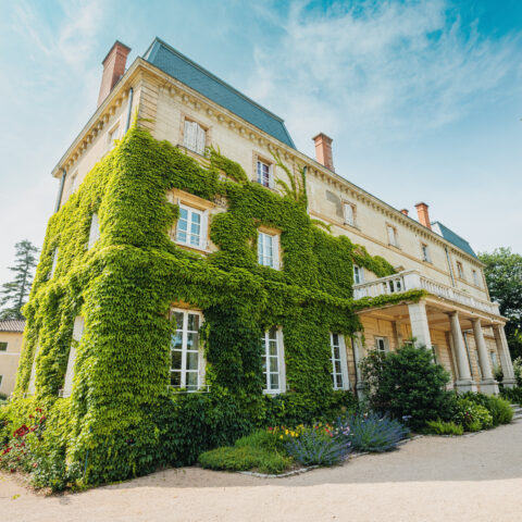 Image-Le pique-nique chic du Château Bellevue