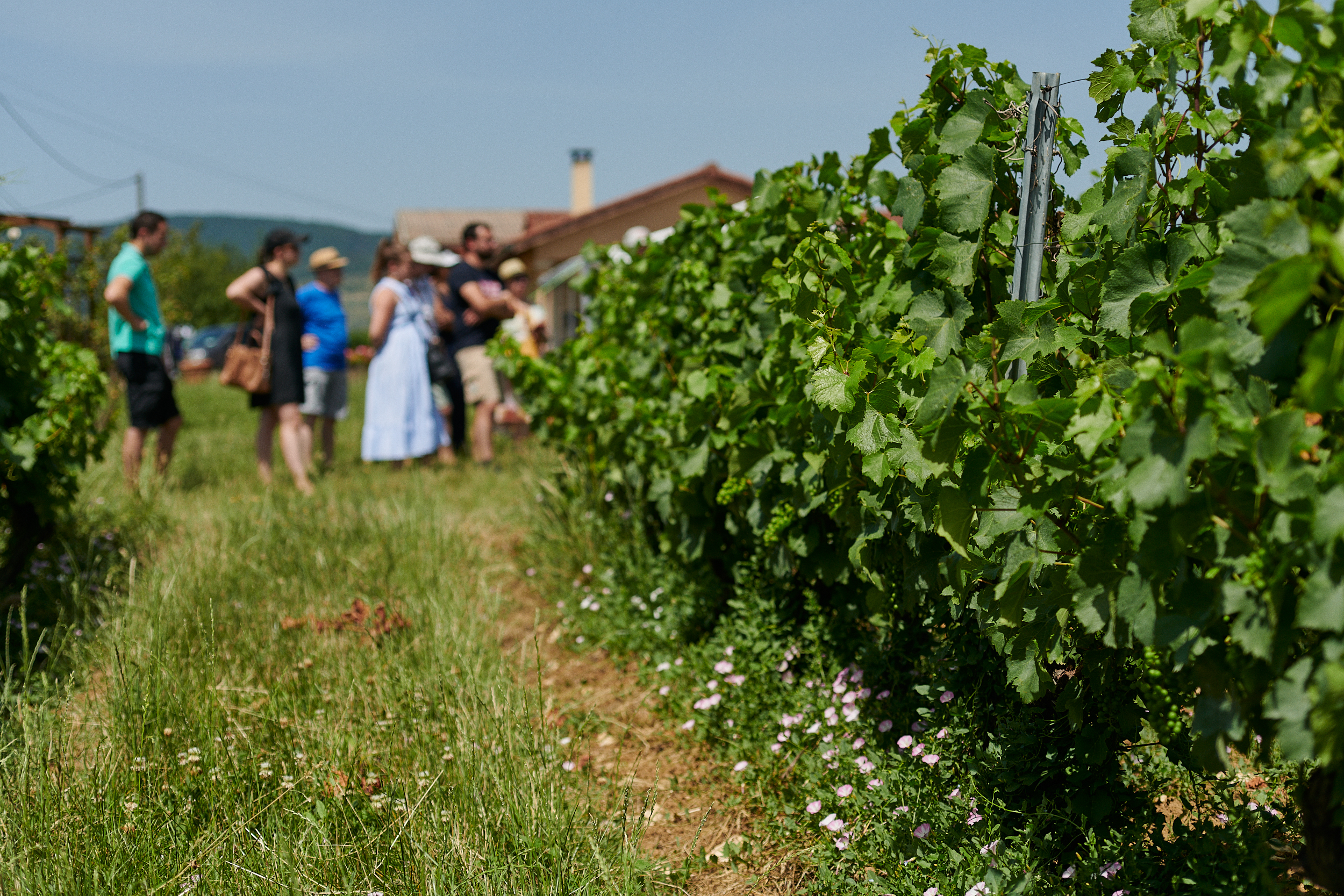 Image-Le Temps des Copains... Brouilly, Brasero by Bobosse et musique à volonté !