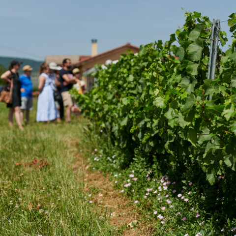Image-Le Temps des Copains... Brouilly, Brasero by Bobosse et musique à volonté !