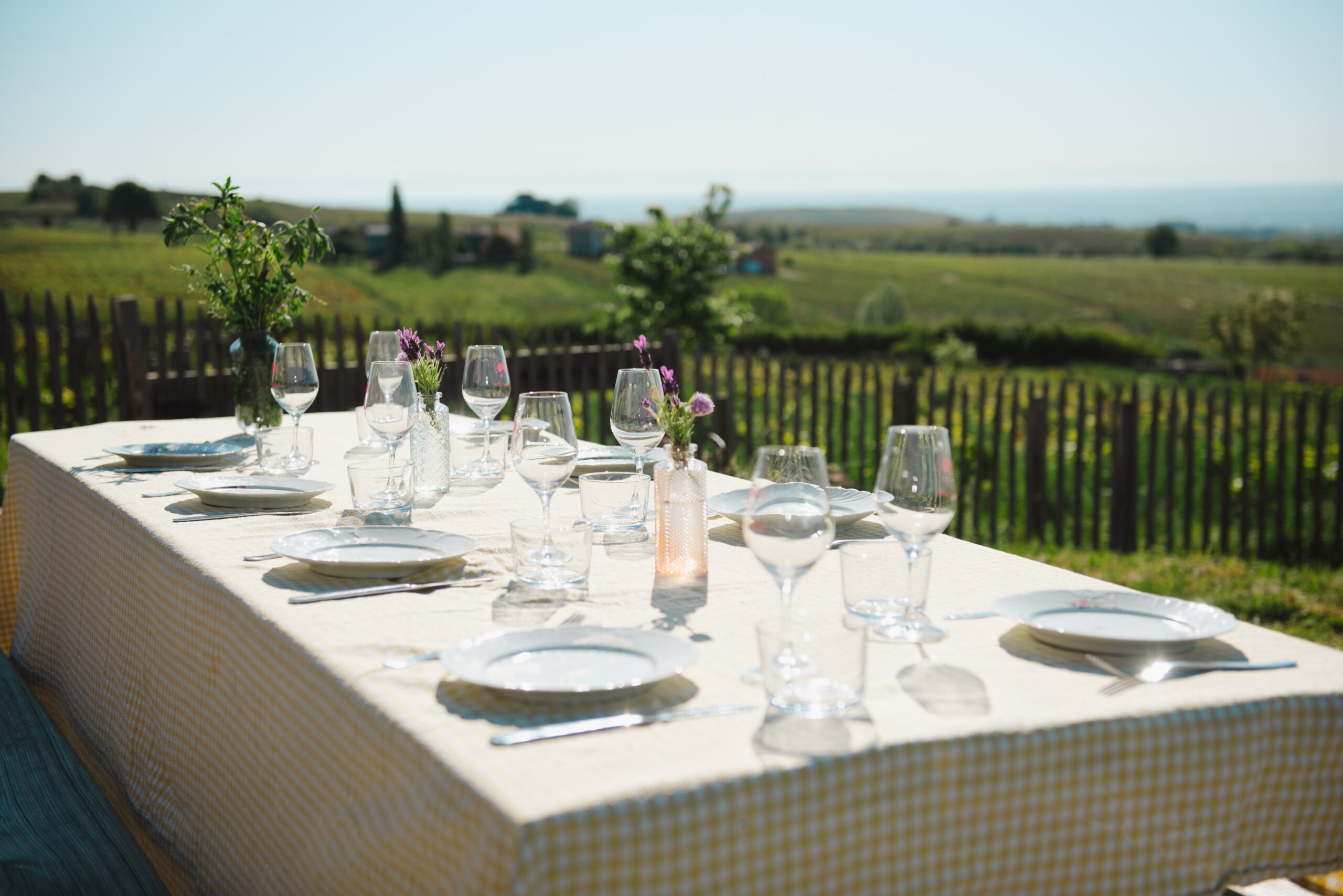 Image-À table dans les vignes de Lachat
