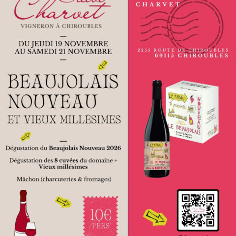 Beaujolais Nouveau et Vieux Millésimes_Chiroubles